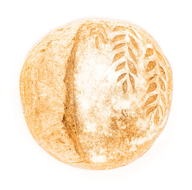 刚烤好的面包孤立在白色的背景上图片下载