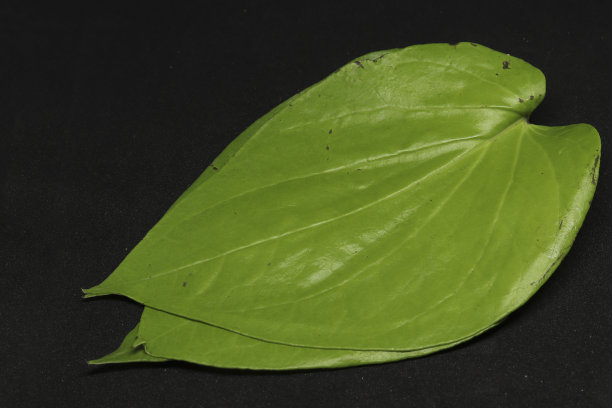 绿色槟榔叶。黑色背景图片下载