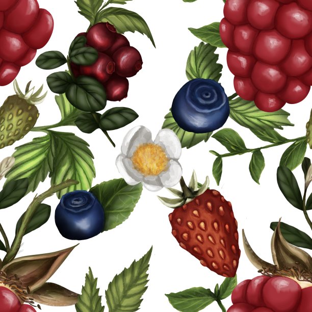 野莓无缝图案。图片下载