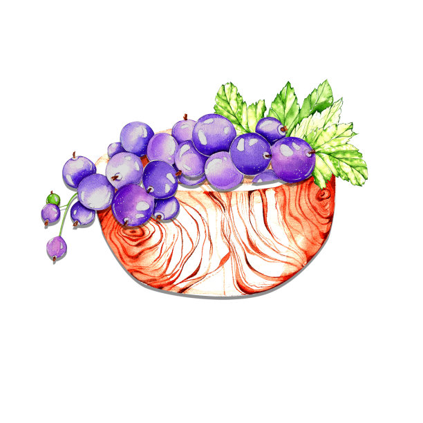 多汁的黑加仑子，果酱。水彩画的浆果集合。为设计和明信片，邀请，海报，菜单。图片下载