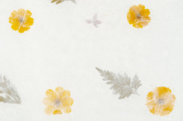 有纹理的植物手工纸是理想的背景。图片下载