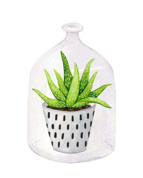 在陶瓷壶里放芦荟，波西米亚风格，斯堪的纳维亚风格。为卡片，标志，文具，印刷品，织物，家纺设计的水彩剪贴画。图片下载