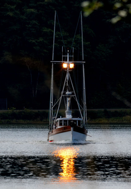 一艘渔船在华盛顿长滩附近的海湾上垂直航行图片下载