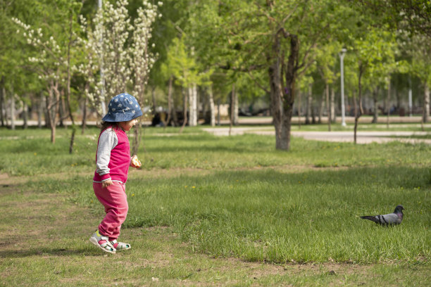 一个两岁的小女孩在城市公园里追鸽子。图片下载