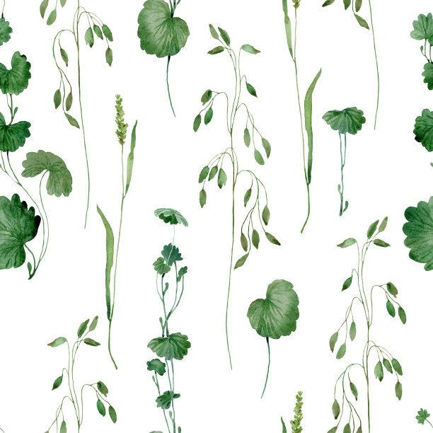 花卉无缝图案图片下载