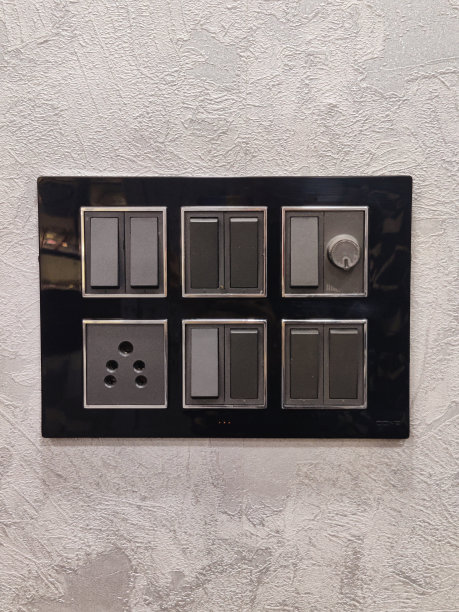 单色的交换机。精致的室内设计图片下载