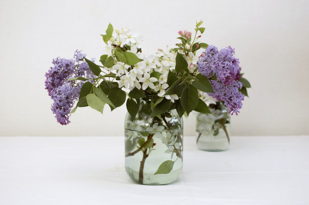 厨房里是一束春天的苹果花枝，透明壶里的丁香花。复制空间。白色的桌子上放着一束束春花图片下载