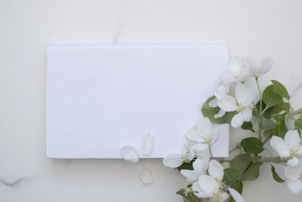 简约的明信片布局与苹果树枝，花，平面，顶视图图片下载