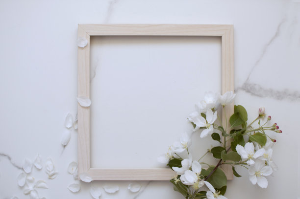 简约的明信片布局与苹果树枝，花，平面，顶视图图片下载