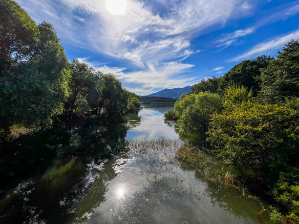 湖与河交汇的景观。韩国首尔大公园动物园图片下载