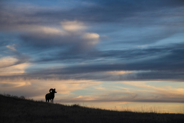 南达科他州大角羊荒地国家公园图片下载