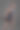 灰色背景上的成熟男子训练健身图片下载