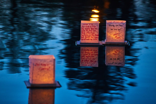 在树荫下，宁静的灯笼漂浮在深蓝色的水面上图片下载