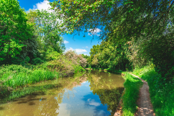 蓝天下，绿树成荫的河边美景图片下载