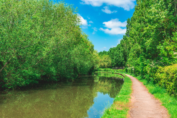 蓝天下，绿树成荫的河边美景图片下载
