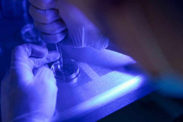 实验室工作人员正在培养皿上移液图片下载