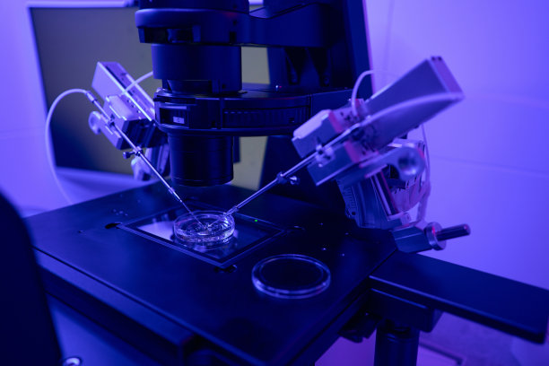 操纵者用男性精子对女性细胞进行体外受精图片下载