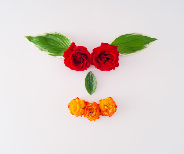 用各种花和树叶做成的狗脸。创造性的最小平面布局的想法。花的审美。图片下载