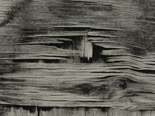 木头。图片下载