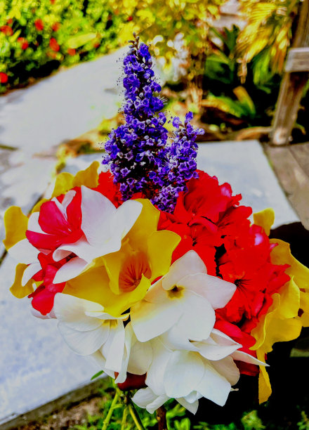 新鲜采摘的热带插花图片下载