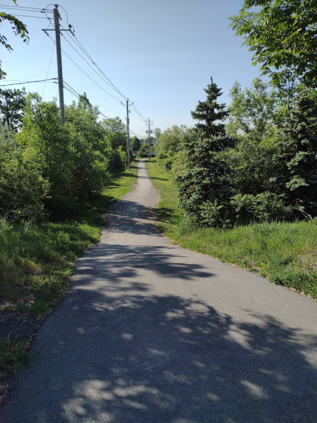 城市里的路图片下载