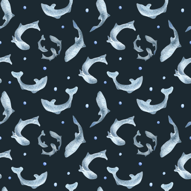 鱼的轮廓鲑鱼，鳟鱼水彩无缝图案孤立的黑色背景。游泳野生蓝鱼手绘。包装，标签，纺织品，包装，背景，印刷的设计元素图片下载