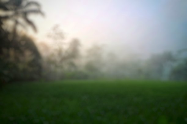 乡村雾蒙蒙的稻田背景图片下载