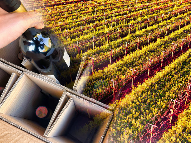 葡萄酒装在盒子里图片下载