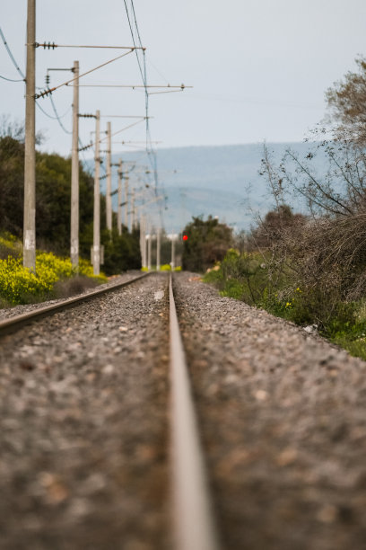 土耳其Kahramanmaras附近的鲜花和旧铁轨图片下载