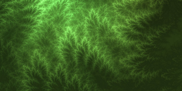 分形叶纹理背景横幅。图片下载