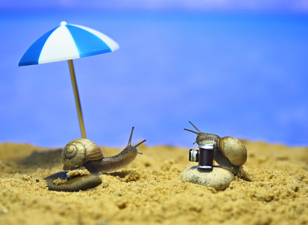 海滩上的蜗牛。在海边拍照。以度假为主题的概念性宏观照片图片下载