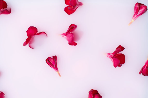 粉红色的花朵漂浮在牛奶水浴中。护肤，水疗或有机化妆品的概念。平的。图片下载