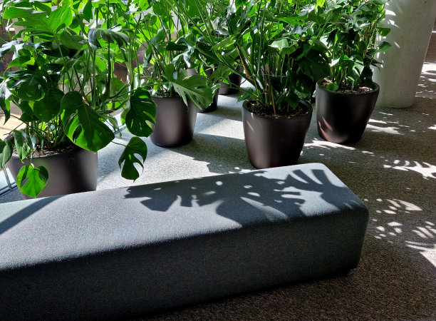 圆角块状沙发。坐式纺织织物和地毯。一个装有室内大叶花的塑料花盆从天花板的天窗投下阴影。豪华舒适的角落图片下载