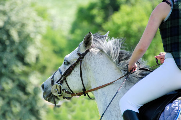 跳事件图片下载