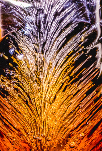 生命之树图片下载