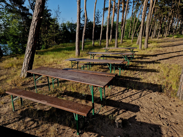 这片松林被湖方向的侵蚀破坏了。海滩上方有一片草地，为露营地的游客提供长凳，还有一个卖啤酒和食物的小亭子图片下载