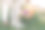 一对夫妇带着野餐篮在花园里散步。一对热恋中的情侣正在户外公园享受野餐时光图片下载