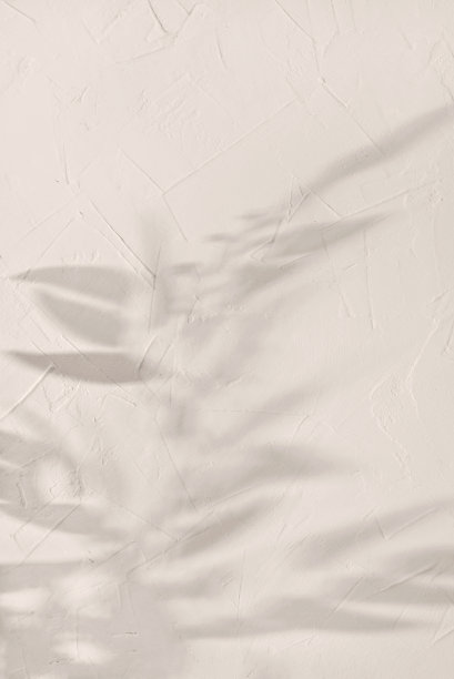 中性墙面背景上树枝树叶的美学阳光光影，花影剪影背景，复制空间图片下载