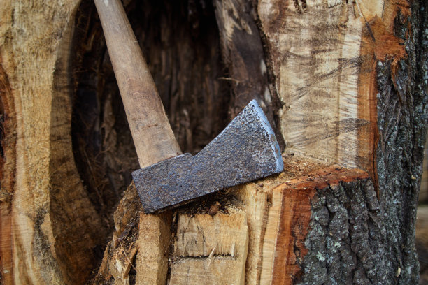 一个樵夫的斧头在树的背景图片下载