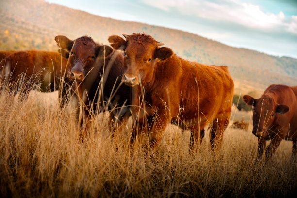 保持距离图片下载