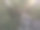 树的照片从下面图片下载