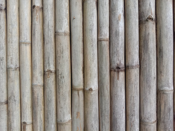 竹篱笆图片下载