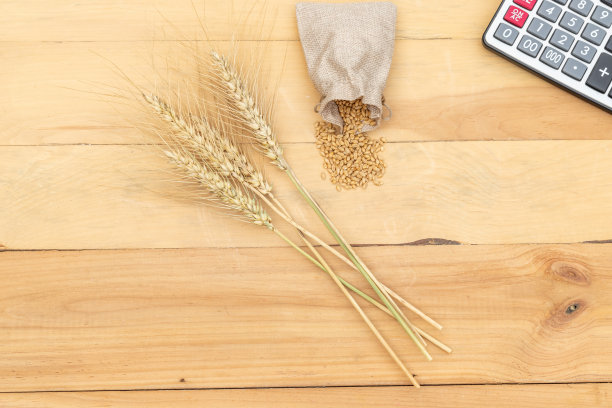 木质背景上的麦穗和麦粒装在袋子里图片下载