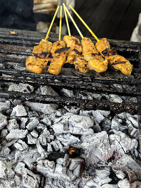 鸡肉串的特写图像，烧烤，腌鸡胸片炭烤串，躺在一排排的热炭烬火焰，高架视图，重点在前景图片下载