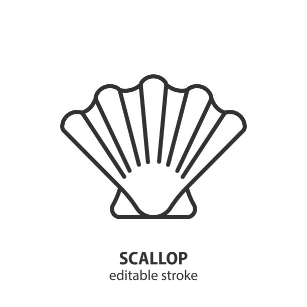 扇贝线图标。贝壳轮廓矢量符号。可编辑的中风。图片下载