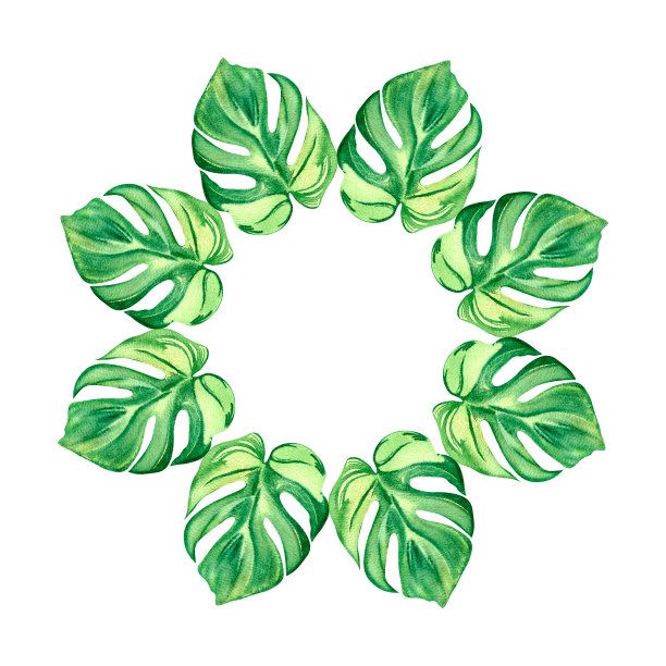 怪物花环传单画在水彩孤立的白色背景手绘图片下载