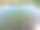 淡水湖中的鱼群和倒影图片下载