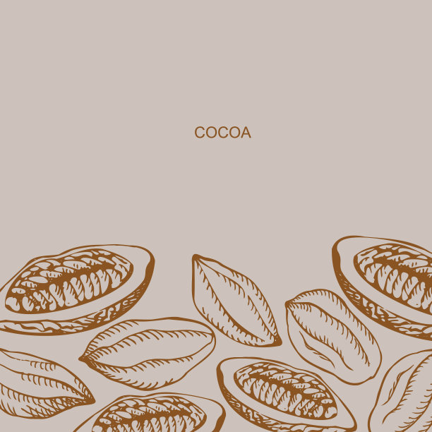 可可设置背景模板。手绘草图可可豆和可可树。有机产品设计元素用于标签，横幅，海报，徽章，卡片，咖啡厅，商店，菜单的标志。向量图片下载