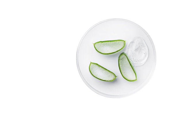 白色背景的培养皿上芦荟凝胶切片。图片下载