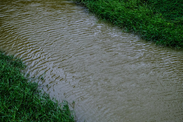 向下看，池塘里的水与草一起荡漾。图片下载